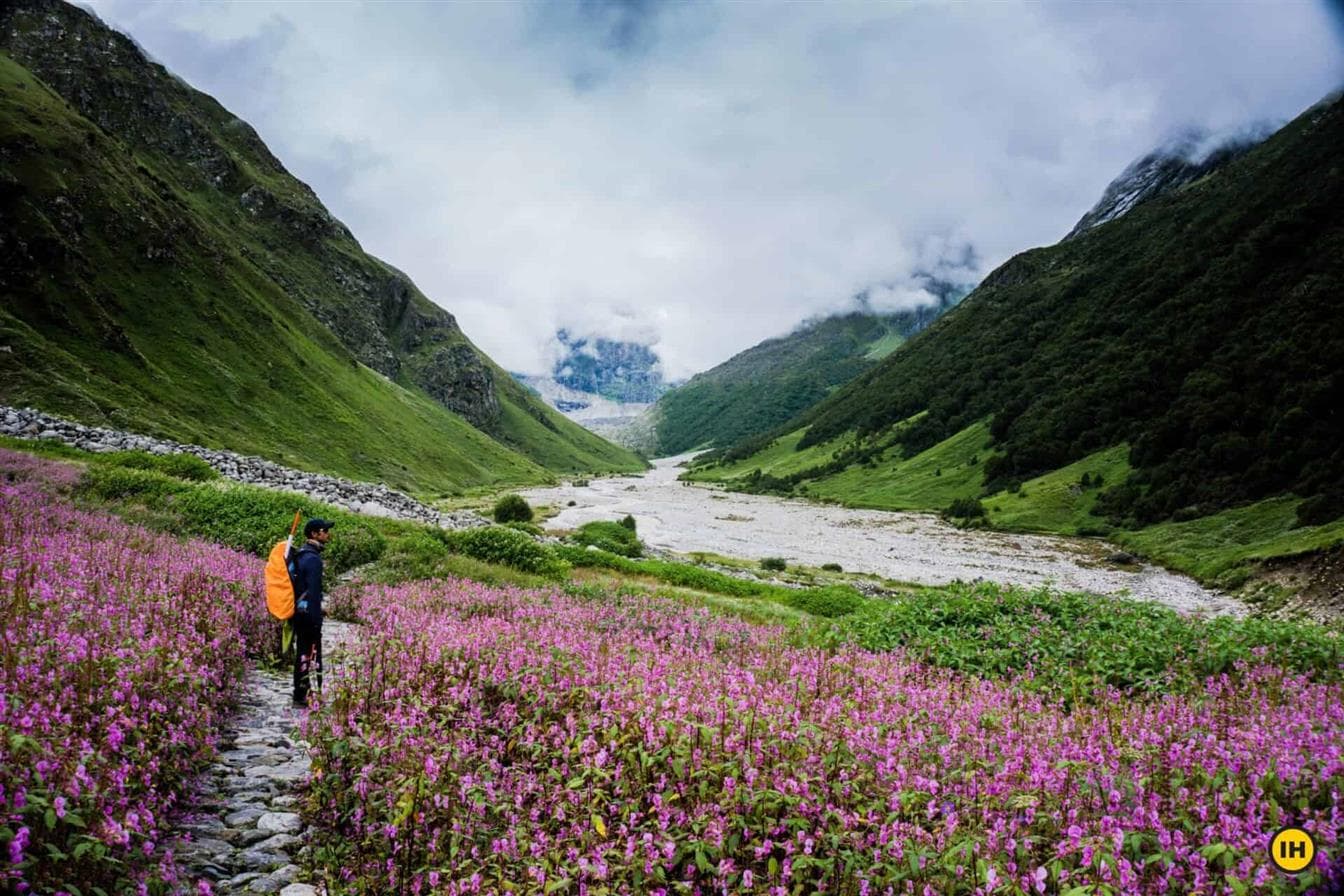 Valley of Flowers Trek