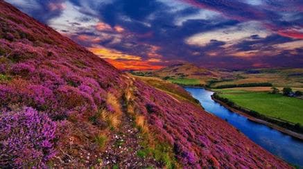 Rajaji National Park Safari