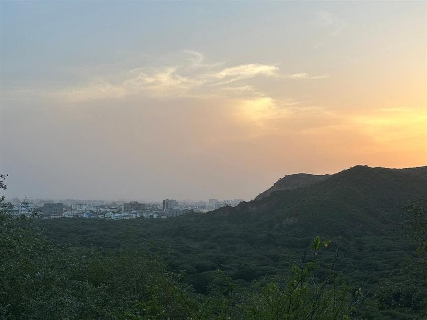 Jhalana Panther Safari Park Private Tour in Jaipur